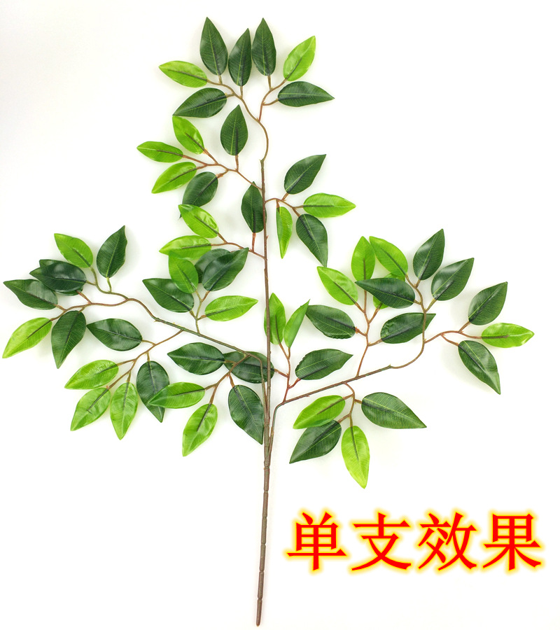 详情20.jpg