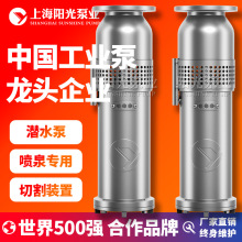 QSP喷泉泵潜水泵不锈钢潜水泵价格不锈钢喷泉泵厂家