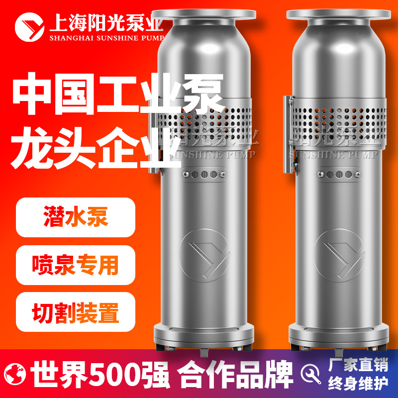 QSP喷泉泵潜水泵不锈钢潜水泵价格不锈钢喷泉泵厂家