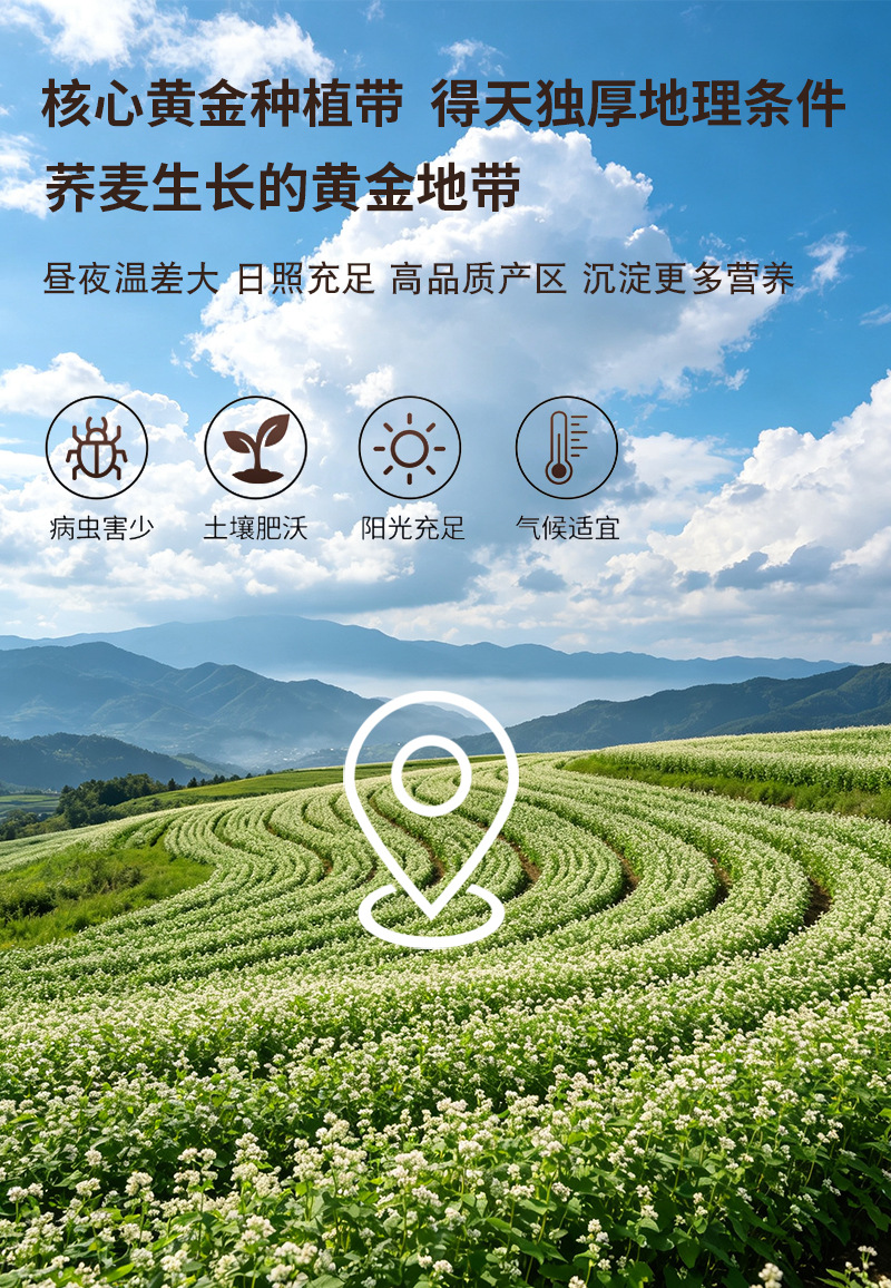 Roasted Buckwheat Powder Qiaomai Fen 500g Instant Whole Grain Flour for Drinks and Baking preparation