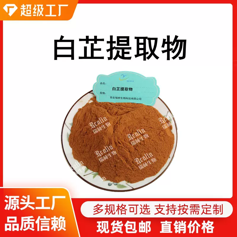 白芷提取物 白芷提取粉 浓缩白芷提取物原料 白芷提取物水溶性