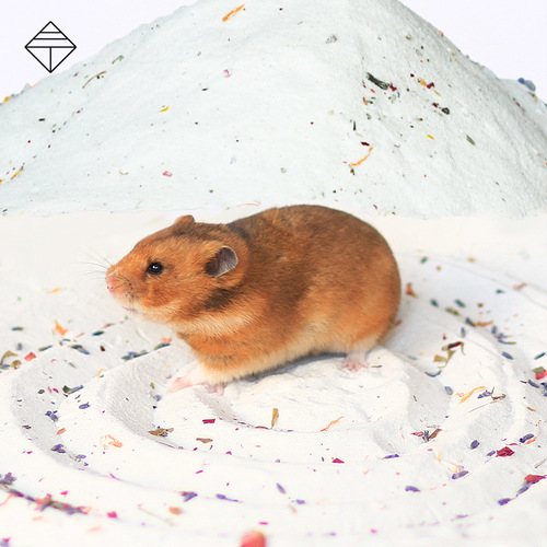 Hamster Bath Sand Floral Desert Oil-Deodorizing Golden Bear Natural Bath Bag Totoro Sand Bath Salt Supplies