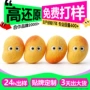 定制订做可爱毛绒玩偶