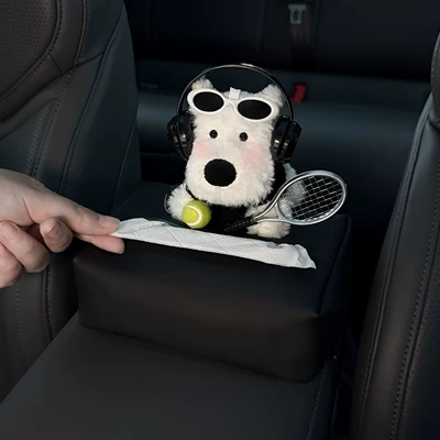 Tissue Bag, Car tissue box/set