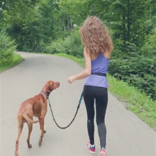 Sports belt, elastic traction rope, running dog traction rope, retractable, leash-free dog leash for walking the dog