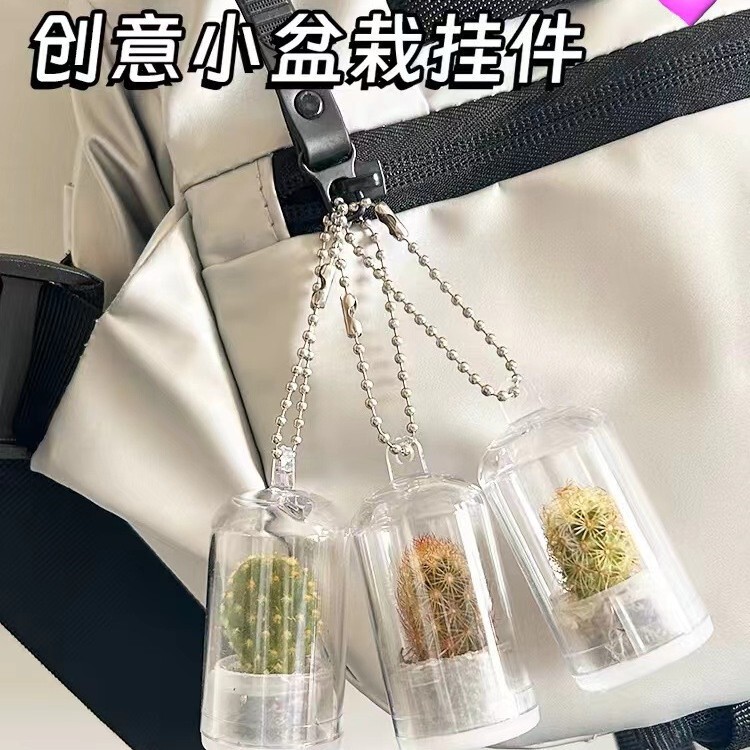 Creative succulent plant pendant mini plant pendant micro landscape micro bonsai glass bottle pendant keychain