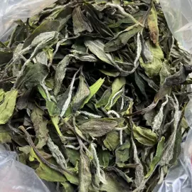 白茶;红茶
