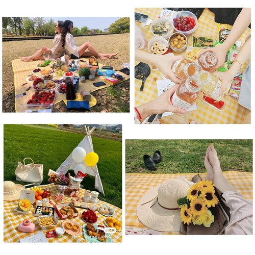 Picnic mat spring outing moisture-proof mat picnic cloth outdoor portable waterproof grass picnic mat outing beach picnic mat
