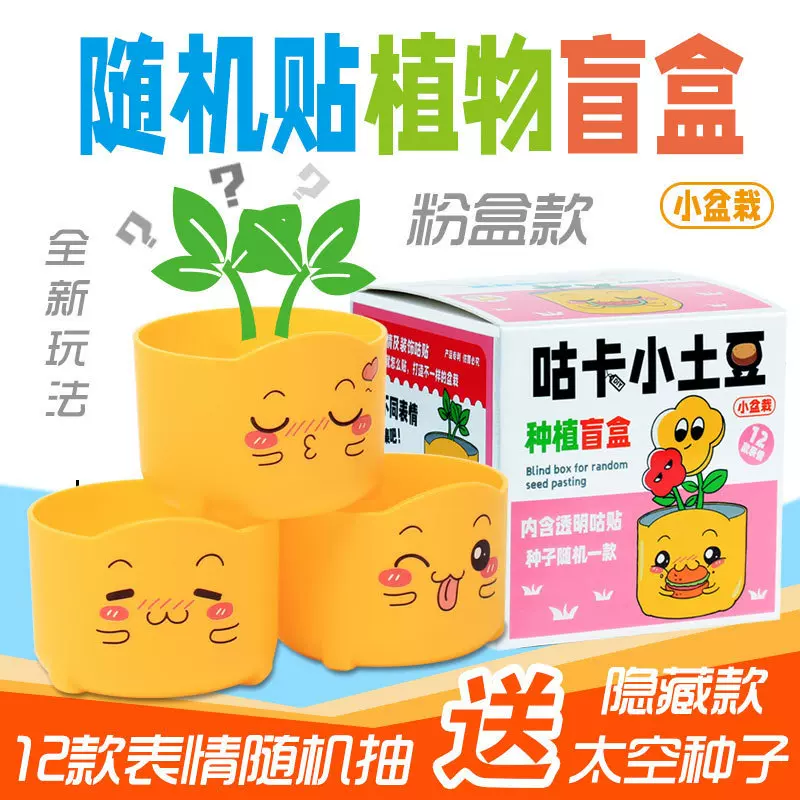 晓梦儿童种植小盆栽小学生DIY观察盒创意桌面绿植盆栽花卉好养活