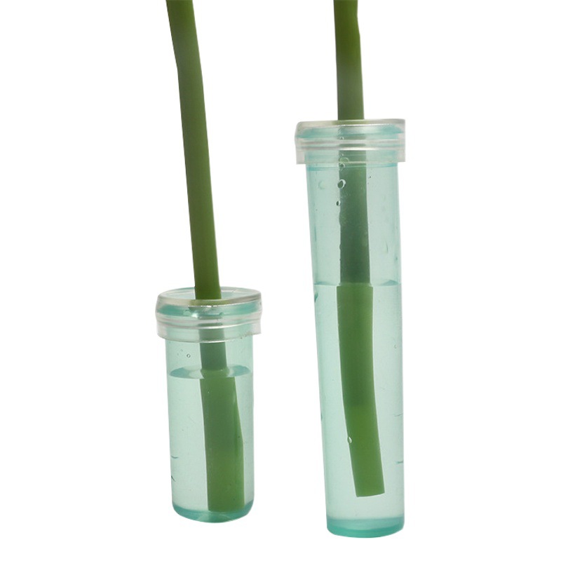 Flor floral creciente tubo de nutrición Flor de retención de agua tubo de Orquídea translúcido plástico azul material de tienda de flores tubo de almacenamiento de agua