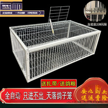 ����\����ֻ�M�������ӻ\����ץ���\����\����ȫ�Ԅ������\�B�\