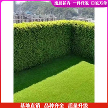 �ļ����ඬ������h�ʠ�����~�S��ֱ��������ͥԺ�G�h���ͺ�ֲ��