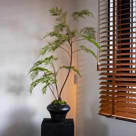文竹仿真绿植假花高级感古风新中式茶室装饰禅意玄关摆件小型盆景