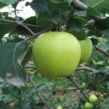 ������O�����rˮ����GС�O�������ЋD�����������]�G���O��