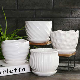 网红花盆陶瓷清仓大号中号家用绿萝吊兰多肉绿植白色蝴蝶兰盆起起