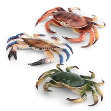 跨境仿真海洋动物螃蟹模型儿童认知面包蟹三眼蟹梭子蟹装饰摆件