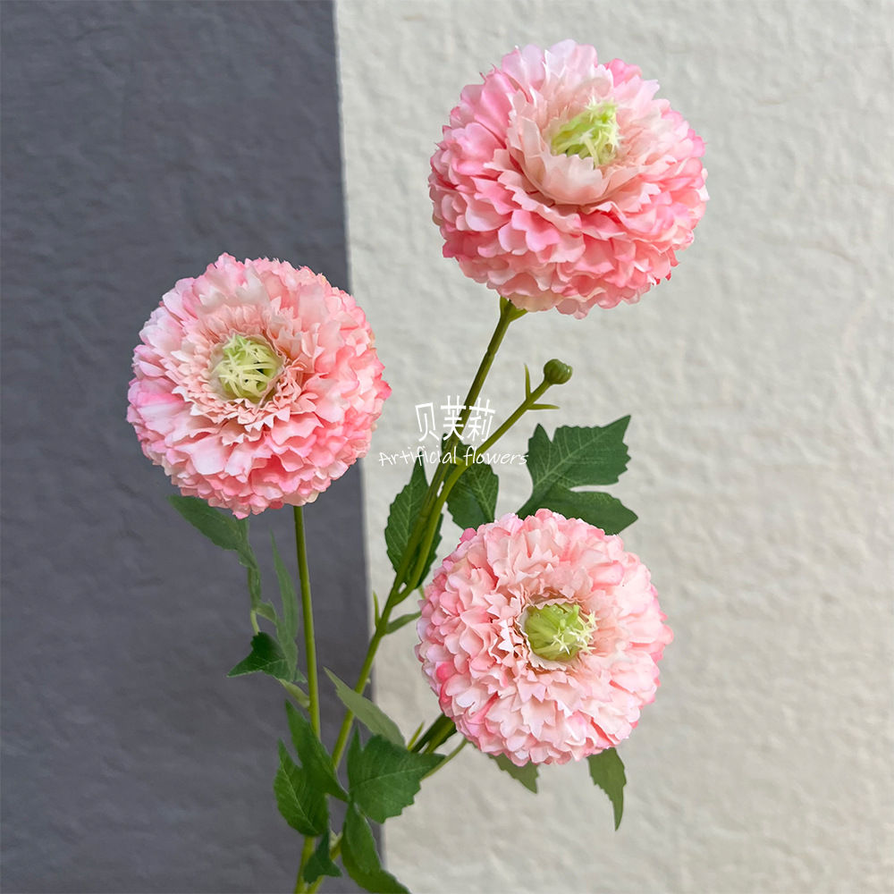 뉴멜라루카 피오니-다크핑크