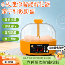 小鸡孵蛋器孵化器小型家用迷你儿童孵化器芦丁鸡鹦鹉蛋孵化全自动