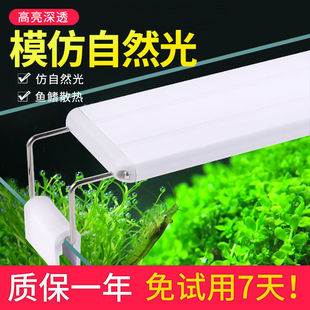 Fish Tank Lamp Led Waterproof Splash Small Colorful Color-Changing Color-Enhancing Bracket Energy-Saving Clip Lamp Algae Fish Lighting Lamp