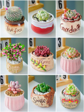 ���⎧��ֲ��M���҃�С������¶�ҵ����մɻ������Ϙ��߶�������