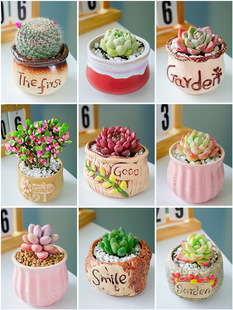 ⎧ֲM҃С¶ҵմɻϘ߶