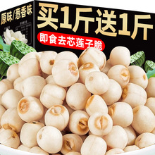 ɏӴ500g_ʳԭζȥоɳÓˮ߲˸؛Сʳ