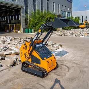 ���ڶ��_˹վ��ʽ�����b�d�C Mini Skid Steer Loader ��·�Pѩ܇