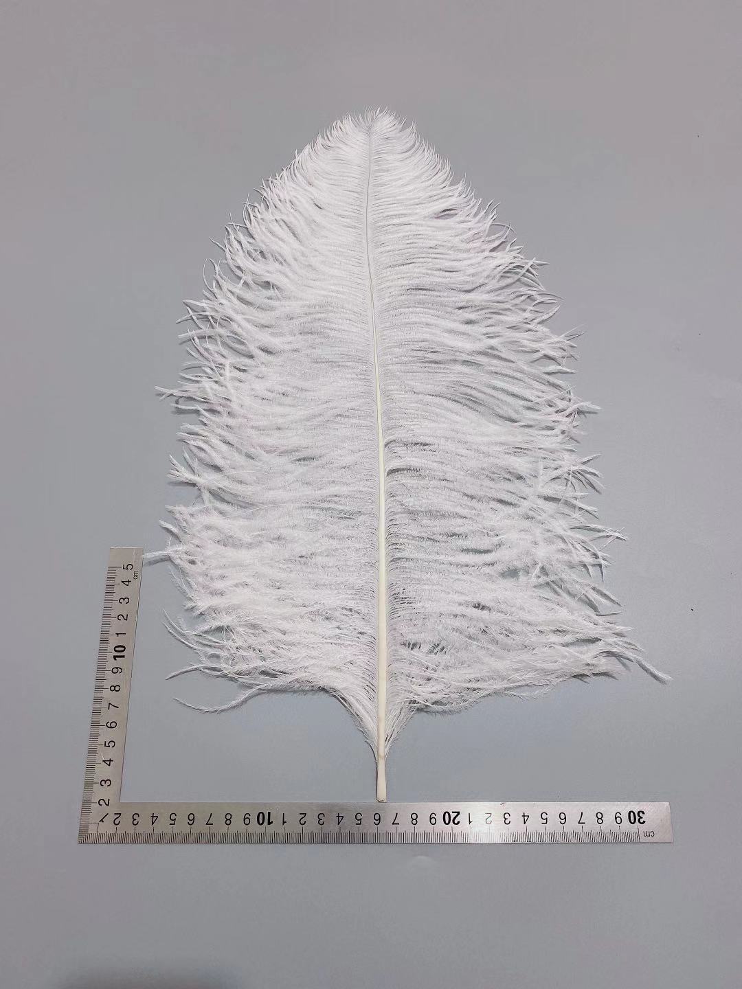 2f8c0e8cc264a0efefc58e79acf302