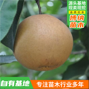 ������޽Ӵ��� �������S����������Ԙ����ϱ�������Y��