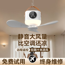 2026�¿�С���ȌW�����ᴲ���o���L�ȳ���L��¶�I�����y���ȟ�