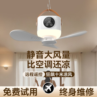 2026�¿�С���ȌW�����ᴲ���o���L�ȳ���L��¶�I�����y���ȟ�