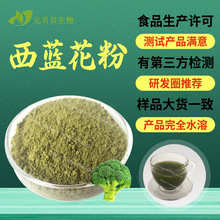 厂家直销西兰花粉水溶西蓝花粉不易结块固体饮料原料西兰花提取物