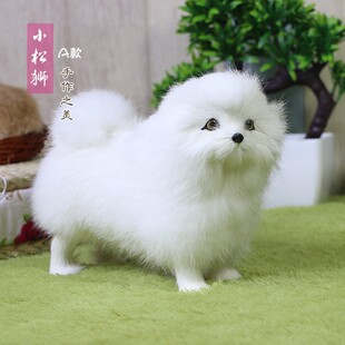 �������С�ɪ{�S�����l���湷��ˇ�g�zӰ���ߔ[�������ͥ�b�