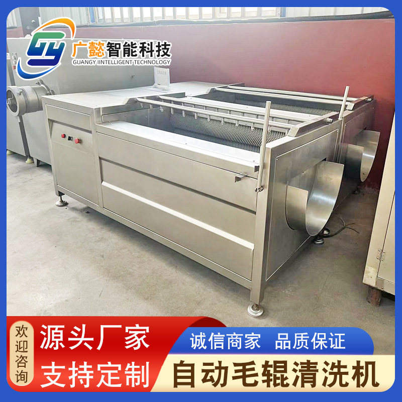 药材清洗机 红薯土豆去皮清洗设备 蔬菜清洗机 多功能毛辊清洗机