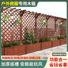 ����ľ������ڑ���ͥԺ���໨���̨��ľ�Nֲ��W���¼����ټ���