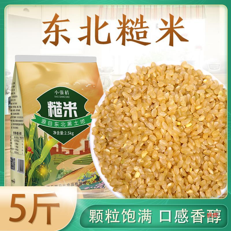 Northeast New Brown Rice 2.5kg New Arrival Farmhouse-Produced Whole Grain Fitness Brown Rice Meal Replacement Staple Food Whole Grains