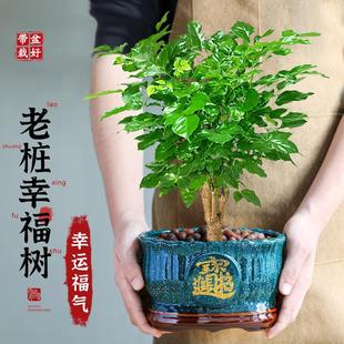 �ؼ�����Ř��Ҹ����҃ȾGֲ�����Ϙ��͏d�ļ������������B�G����