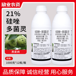 ���������`�Z��21%�������`�����ǲ��������rș