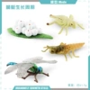 PL127-2478 Dragonfly cycle 21.7g