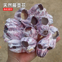 ȻؐىRӺʯ ˮ~쾰bؐ~~C