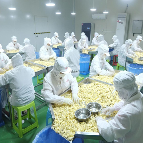 Dried Durian in Original Slices, Thailand's Golden Pillow Variety, Factory Wholesale, Bulk Pack, Full Carton Net Weight, Edible Durian Dried Fruit