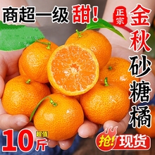 正宗广西砂糖橘现摘新鲜水果当季橘子皮薄多汁纯甜金秋沙糖桔包邮