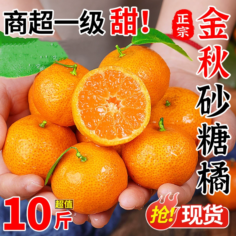 Настоящие сахарные апельсины Гуанси, свежесобранные свежие фрукты, сезонные апельсины с тонкой кожурой, сочные и чистые сладкие золотые осенние сахарные апельсины, бесплатная доставка