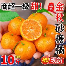 正宗广西砂糖橘现摘新鲜水果当季橘子皮薄多汁纯甜金秋沙糖桔包邮
