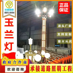 Direct Selling Landscape Lights Municipal Road Square Park Scenic Spot Led Characteristics Large Special-Shaped Characteristic Landscape Lights