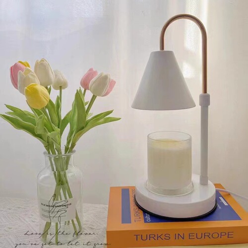 Holiday Aromatherapy Lamp with Timer Up-and-Down Floating Candle Lamp Gift Bedside Lamp Decor Nordic Wooden Table Lamp Creative Lamp