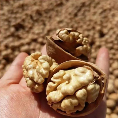 This year's new arrival, thin-skinned paper-like walnuts, affordable bulk, raw original taste, Aksu 185 kernels, white, suitable for pregnant women and adults