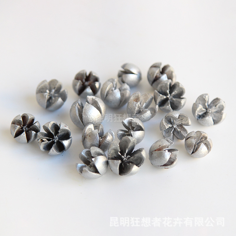 Hạt hồ trăn bạc (một túi 20g, khoảng 20 chiếc)