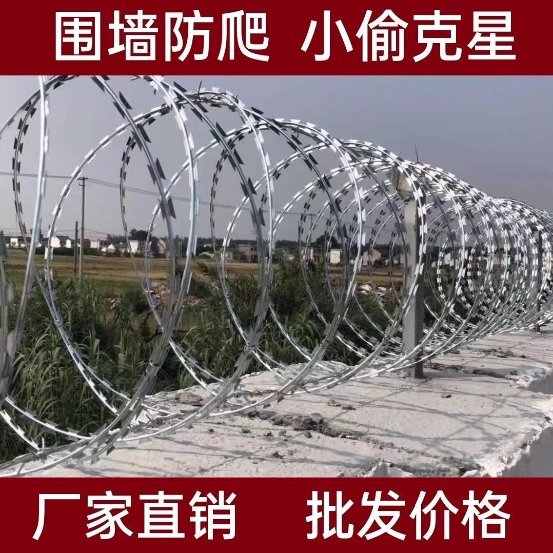 刀片刺绳防护网镀锌刺丝滚笼刺网带刺铁丝防盗防爬刺围墙防爬网