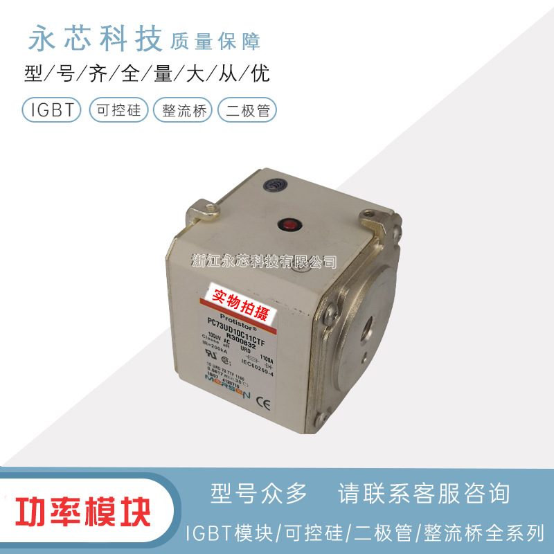 双连体熔断器快速保险丝PC73GB69V800D1A	B236073原装现货供应